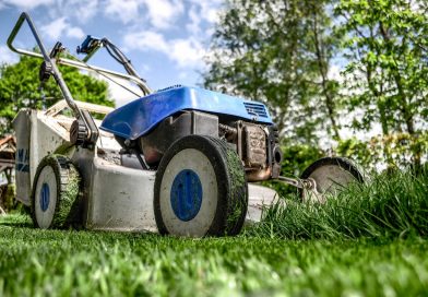 Lawn Care – The Ultimate Guide: Tips for a Lush, Green Grass
