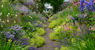 Preparing Your Garden for an August Bloom