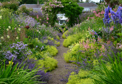 Preparing Your Garden for an August Bloom